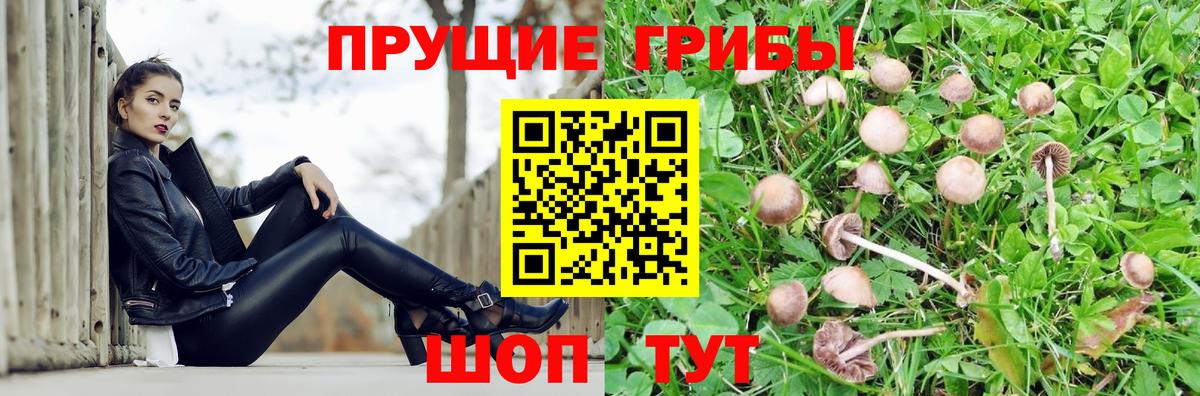 Псилоцибиновые грибы Cubensis  Псилоцибиновые грибы ЛСД  Вход с VPN  Тимашёвск 